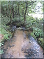 The stream at Skimmel Bridge