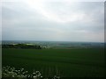 Across the Vale of York