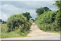 Byway Near Pies Farm, Four Marks, Hampshire