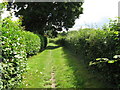 Well maintained path at rear of properties in Southwater