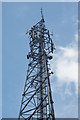 Fire Tower, Chawton Park Woods, Hampshire