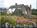 Cottage garden, Yarcombe