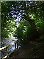 Sirhowy Valley Country Park Path