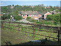 Netherfield Station: the overgrown end of the platform