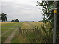 Footpath on Thorn Road