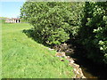 Killhope Burn between Cowshill and Wearhead