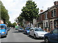 Looking northwards up Clovelly Road