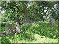NH6254 : Balnaguie chambered neolithic cairn by Julian Paren