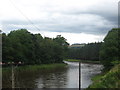 A big River Tweed at Boleside near Galashiels