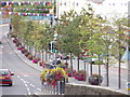 Bridge Street, Banbridge in bloom