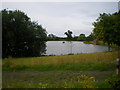 SJ8401 : Pool and boat house at Wrottesley Hall by Richard Law