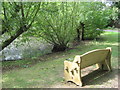 Bench and Pond, Headcorn