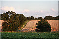 Farmland south of Rattlesden