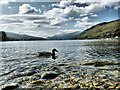 Loch Tay from Kenmore beach