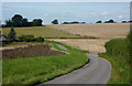 Looking along Fen Lane