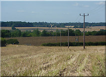 TM0858 : Fields near Roydon Hall by Andrew Hill