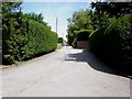 Entrance to Raventhorpe Nursery