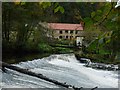 Weir in Nidd Gorge