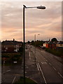 Ensbury Park: pigeon on lamppost in Boundary Road