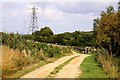 Track and footpath to Happy Valley Paddock