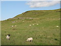 Small rock outcrop and hill north of Grandy