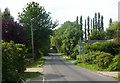 Lane towards Monewden