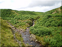 SH9608 : Confluence of the Nant CraigyfrÃ¢n and its tributary by Richard Law