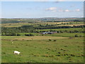 Rough pastures above East Steel