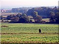 From the Outwoods towards Loughborough