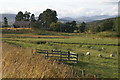 Fields at Persie, Glenshee