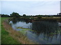 Jumpers: the Stour behind River Way