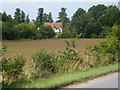 By the lane to Brandeston