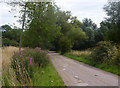 Driveway to Cretingham golf course