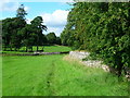 Footpath through field