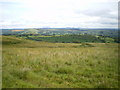 Rough grazing land above Llangadfan