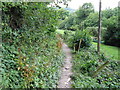 Path at the rear of Waterfall Cottage