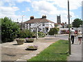 Unusual tree in Village Road