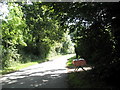 Runner beans for sale in Long Copse Lane