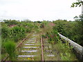 Overgrown rail line