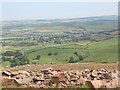 Wooler viewed from Humbleton Hill