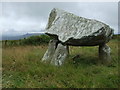 Llech-y-tribedd and Carn Ingli