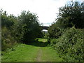 Ringwood, road bridge