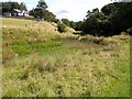 Old pond at Whittondean