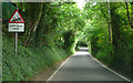 Downe Road - Steep Hill 25%