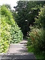 Footpath - Millstone Rise