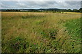 SO7751 : Farmland at Leigh Sinton by Philip Halling