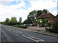 The Green Man