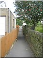 Footpath - Wellhouse Lane