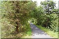 The Mawddach Trail near Dolgellau