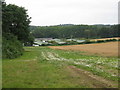 Rock Farm Washington